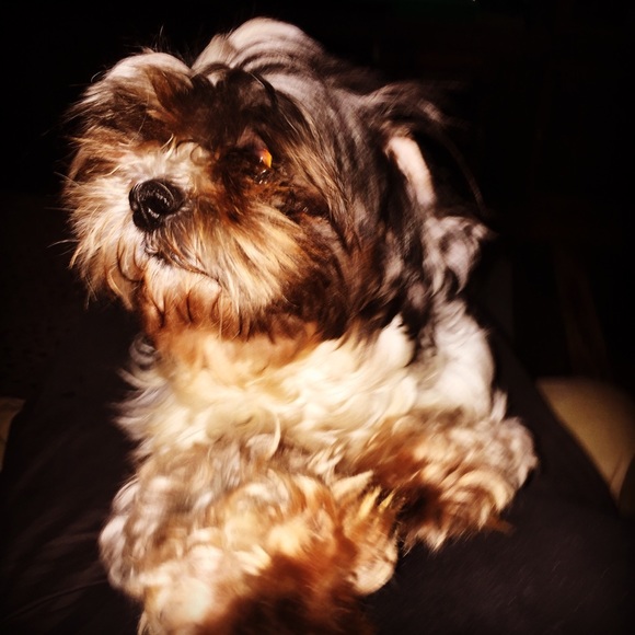 I LOVE OFFER AND I LOVE MAKING BUNDLES “DO BOTH” - Picture 2 of 8